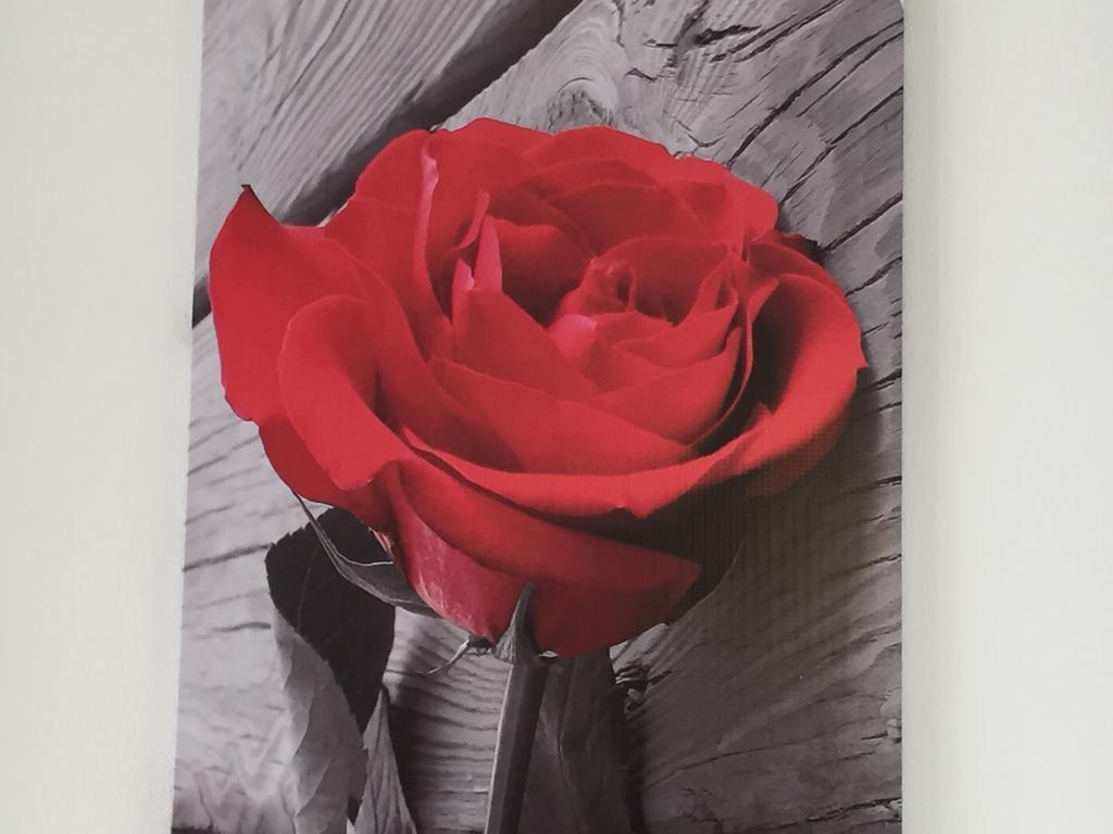 Rosa Di Ortigia Leilighet Syracuse Eksteriør bilde